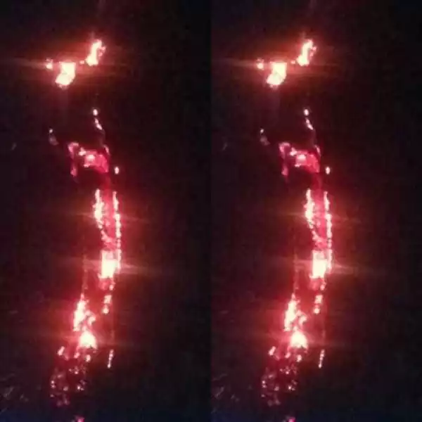 Mystery as Strange Iroko Tree Bursts Into Flames for Hours Without Being Set Ablaze in Lagos